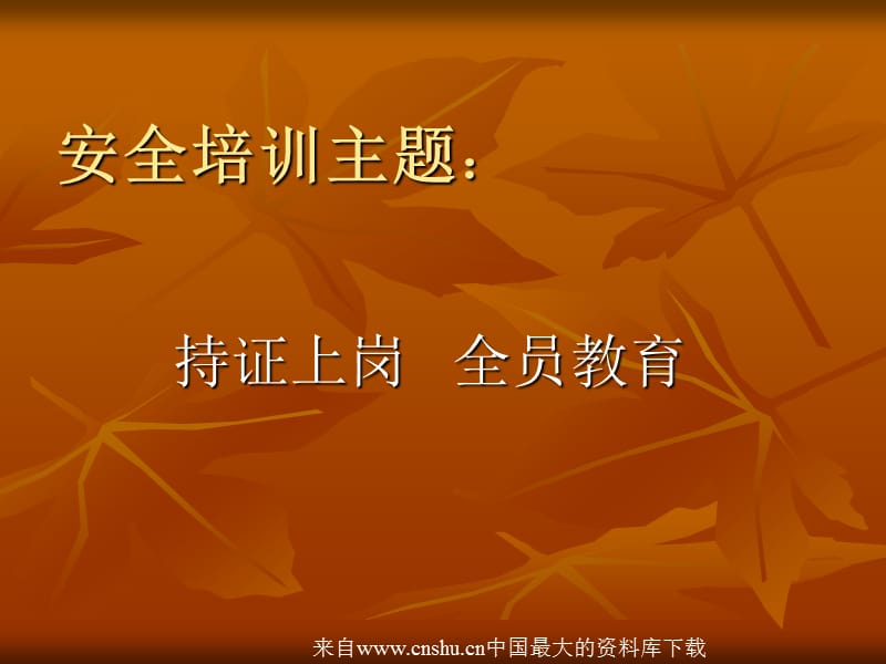 安全管理生产经营单位安全培训规定.ppt_第2页