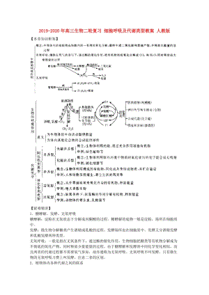 2019-2020年高三生物二輪復(fù)習(xí) 細胞呼吸及代謝類型教案 人教版.doc