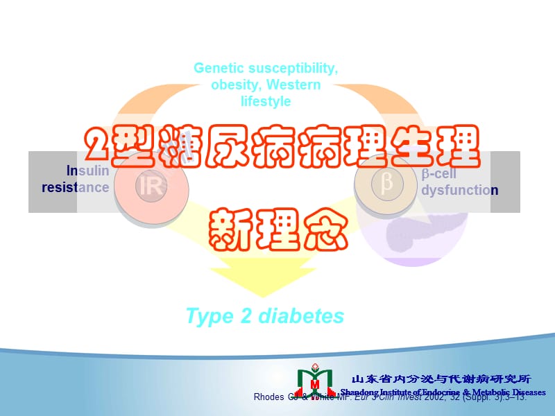 2型糖尿病生理病理到临床早期治疗方案的优化.ppt_第3页