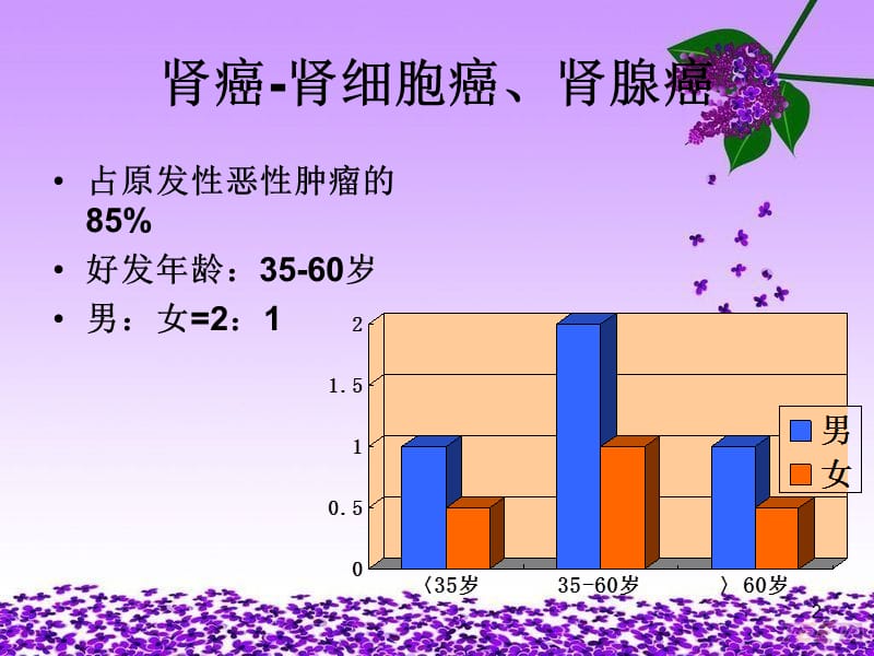 肾癌病人的护理ppt课件_第2页