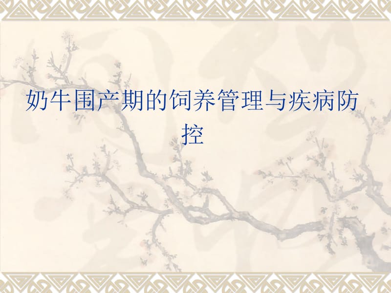 奶牛围产期的饲养管理与疾病.ppt_第1页