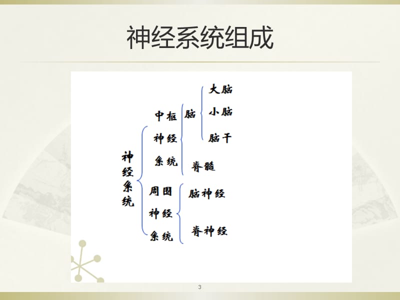 神经系统肿瘤ppt课件_第3页