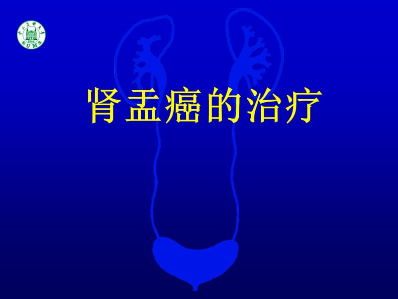 《肾盂癌的治疗》PPT课件.ppt_第1页