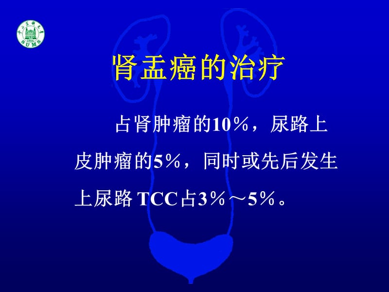 《肾盂癌的治疗》PPT课件.ppt_第2页