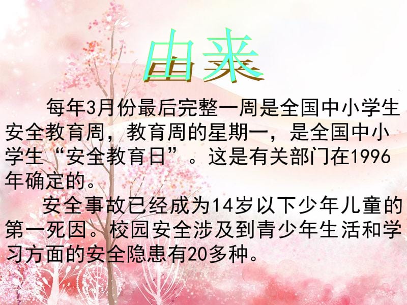 《安全伴我成长》PPT课件.ppt_第3页