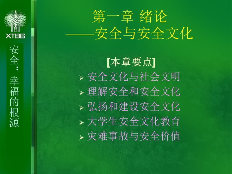 《安全文化与安全》PPT课件.ppt_第1页