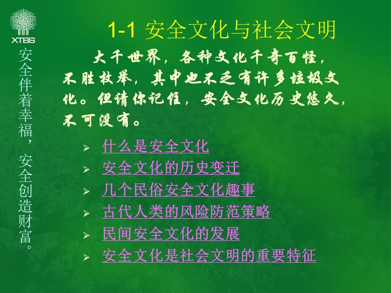 《安全文化与安全》PPT课件.ppt_第3页