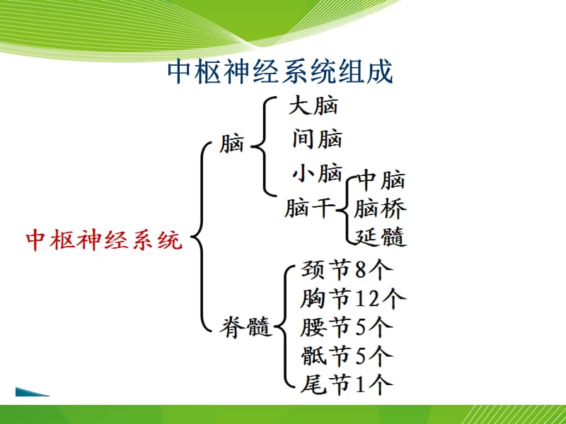 中枢神经系统感染性疾病病人的护理.ppt_第3页