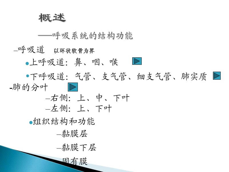 内科护理学呼吸系统ppt课件.ppt_第2页