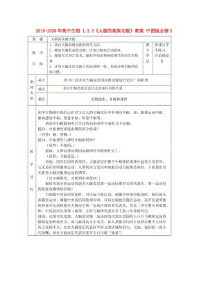 2019-2020年高中生物 1.3.3《人腦的高級功能》教案 中圖版必修3.doc