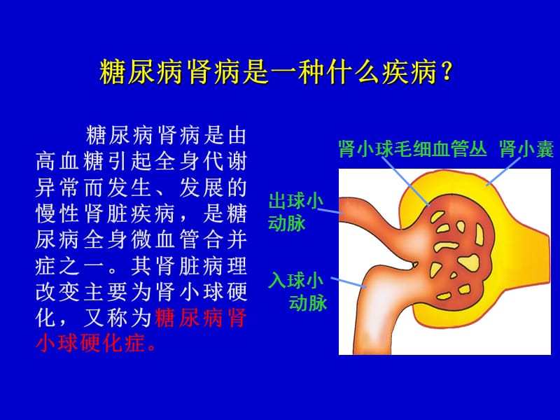 《糖尿病肾病讲课》PPT课件.ppt_第2页