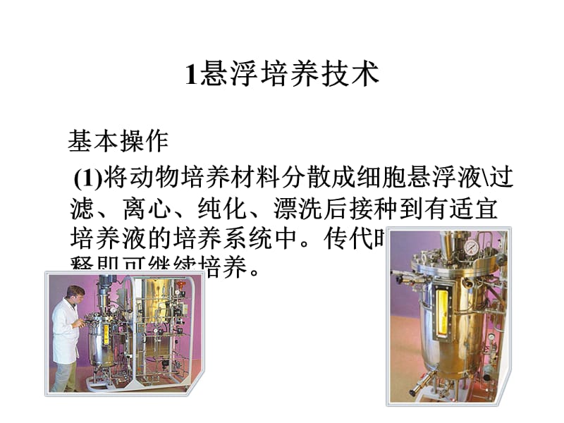 动物细胞大规模培养技术.ppt_第3页