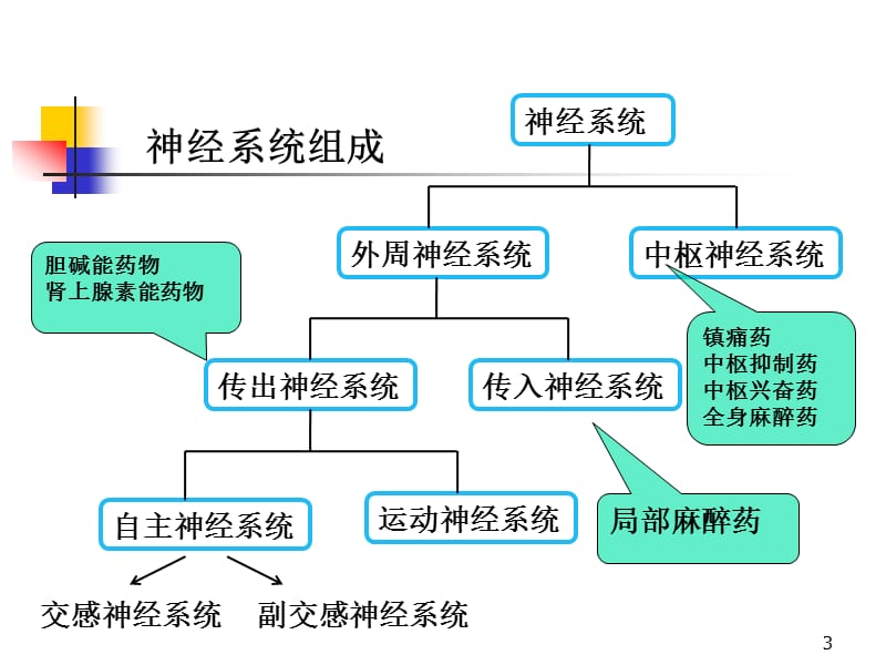 肾上腺素能受体药物ppt课件_第3页