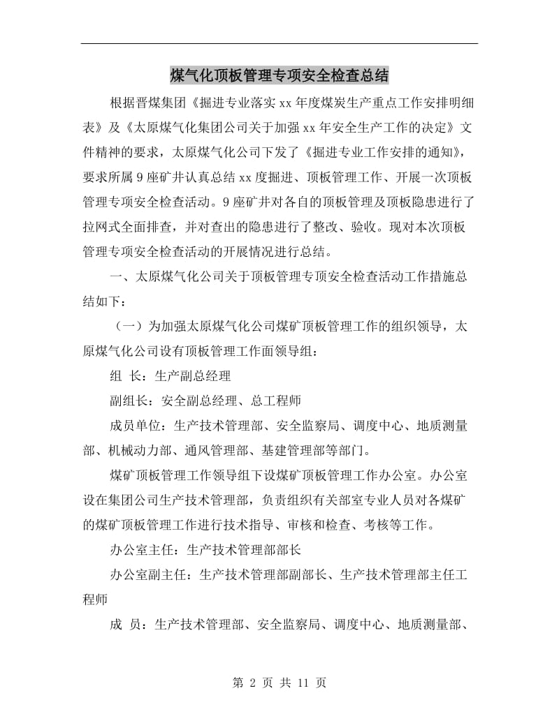 煤气化顶板管理专项安全检查总结.doc_第2页