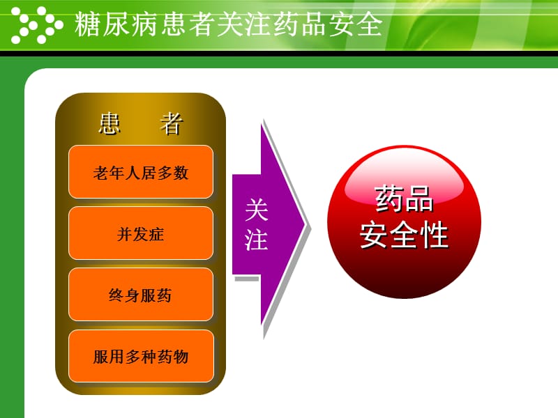 安全合理使用糖尿病治疗药物（基层医生版）.ppt_第3页