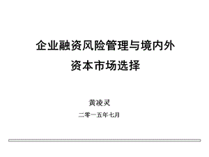 企業(yè)融資風(fēng)險管理與境內(nèi)外資本市場選擇.ppt