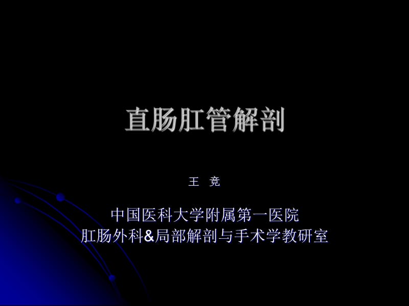 《直肠肛管解剖》PPT课件.ppt_第1页