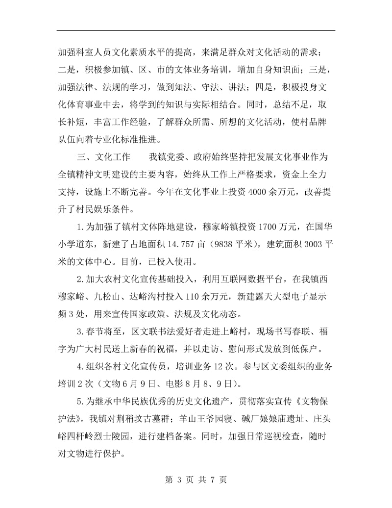 镇文化服务中心年终工作总结.doc_第3页