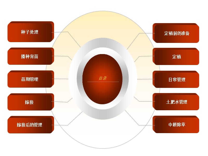 《无籽西瓜栽培技术》PPT课件.ppt_第3页