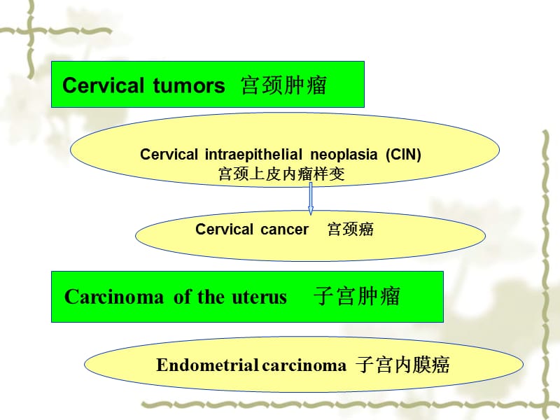子宫肿瘤-妇产科课件.ppt_第2页