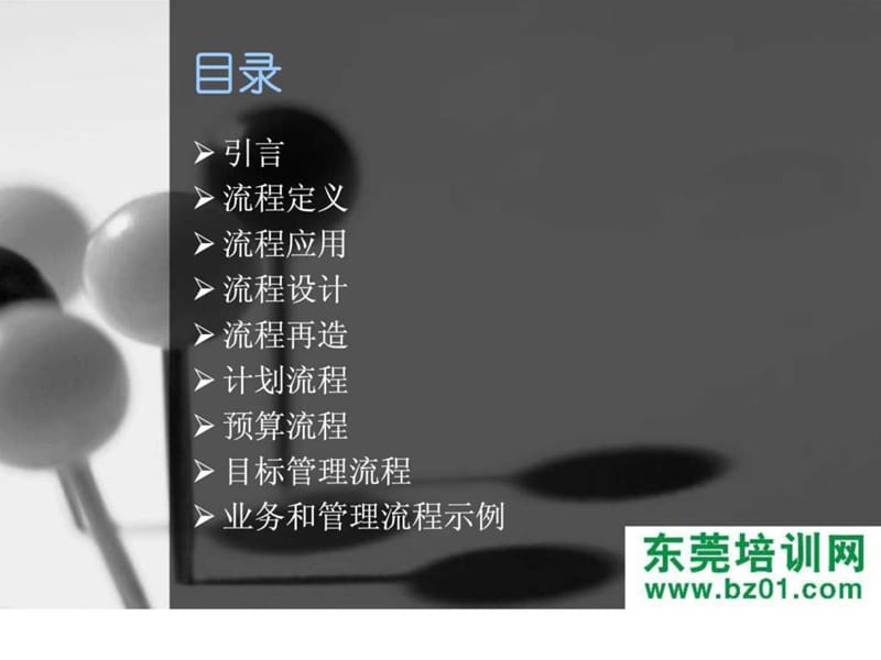 《流程系统管理》PPT课件.ppt_第3页