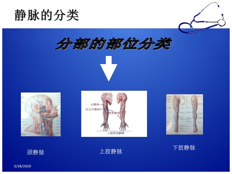 化疗病人的静脉管理ppt课件.ppt_第3页