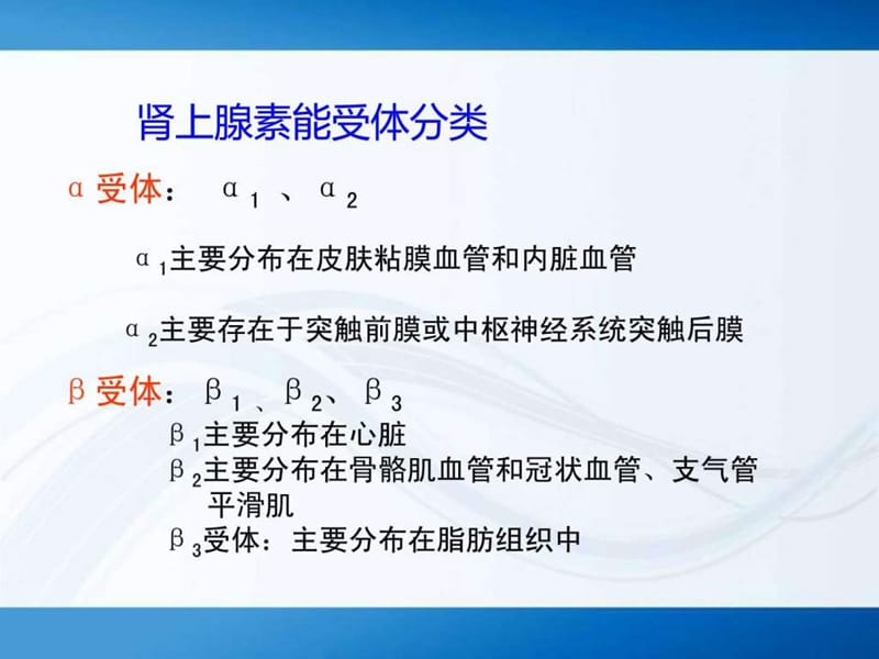 《肾上腺素能受体》PPT课件.ppt_第2页