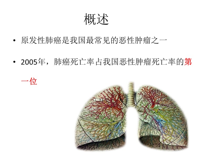 原发性肺癌诊疗规范.ppt_第2页