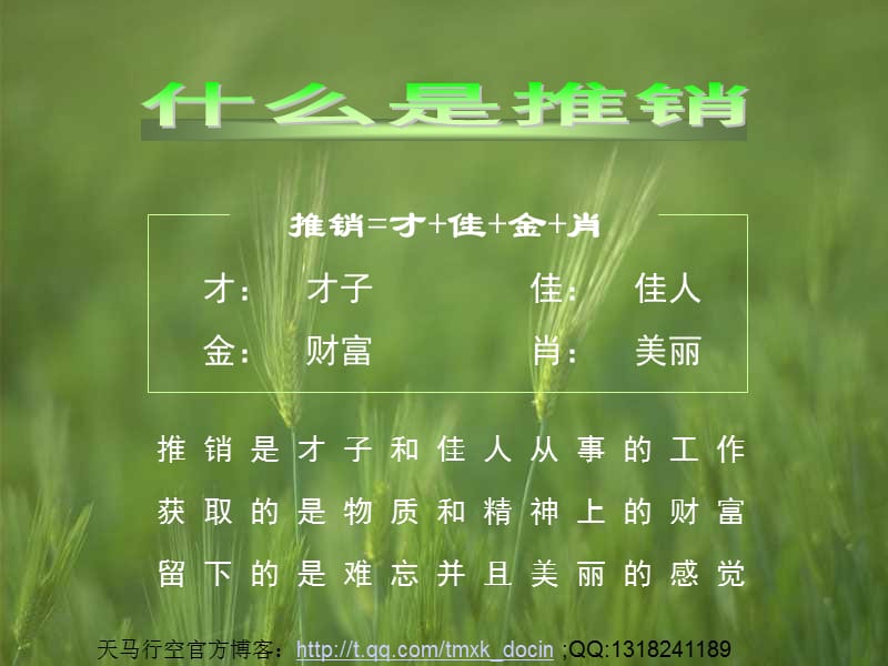 保险销售培训专业推销流程.ppt_第2页