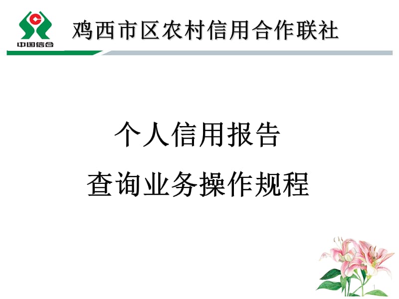 信用报告查询业务操作规程教程.ppt_第1页