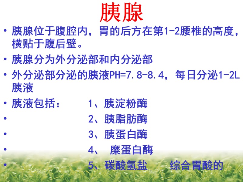 《d糖尿病》ppt课件.ppt_第3页