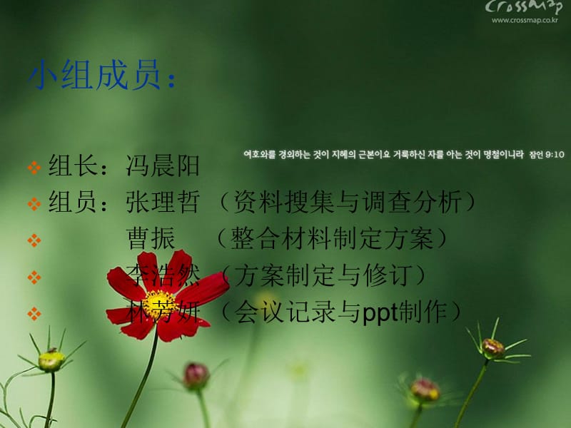 专项安全管理方案编制.ppt_第2页