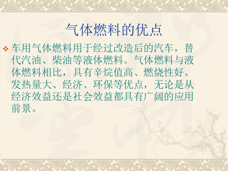 CNG加气站安全管理.ppt_第3页