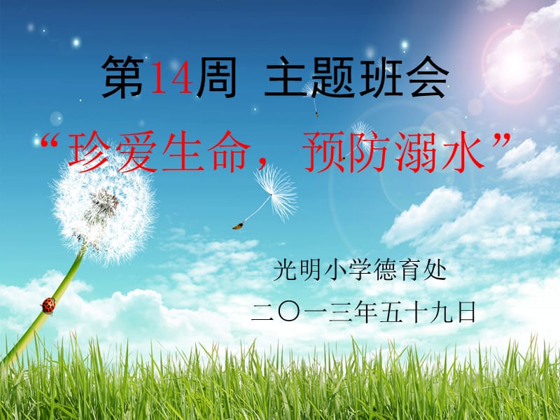 《珍爱生命预防溺水》主题班会.ppt_第1页