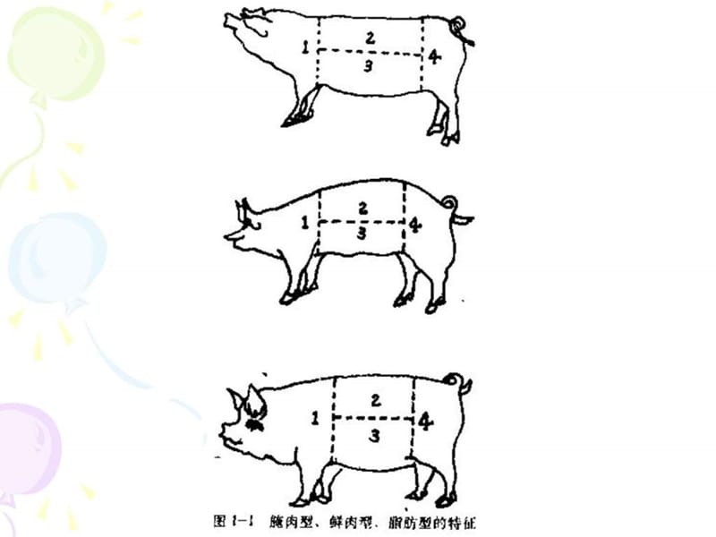 《肉品检验检疫技术》PPT课件.ppt_第3页