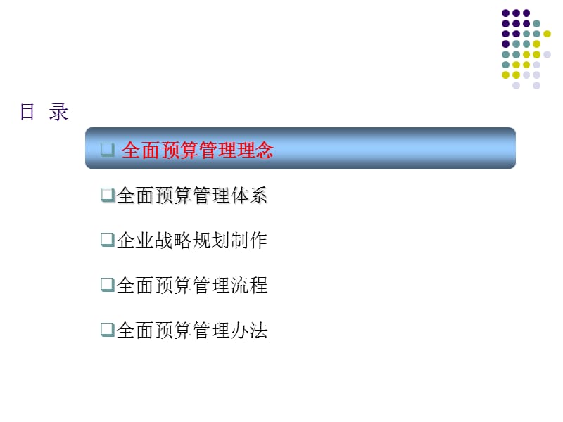 《全面预算管理培训》PPT课件.ppt_第2页