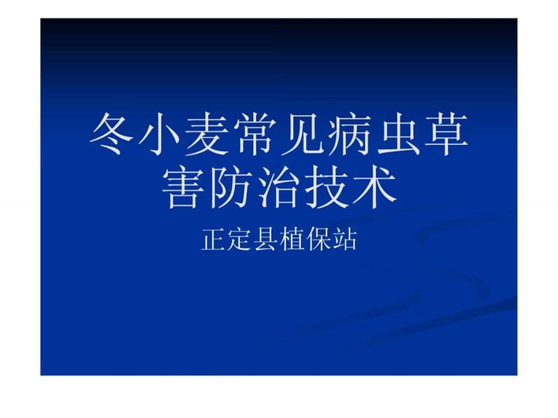 冬小麦常见病虫草害防治技术.ppt_第1页