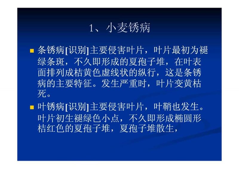 冬小麦常见病虫草害防治技术.ppt_第3页