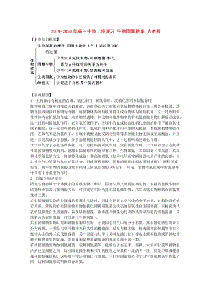 2019-2020年高三生物二輪復(fù)習(xí) 生物固氮教案 人教版.doc