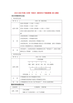 2019-2020年高三生物一輪復(fù)習(xí) 遺傳的分子基礎(chǔ)教案 新人教版.doc