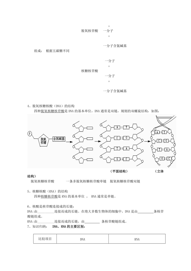 2019-2020年高一生物：2.3《遗传信息的携带者—核酸》学案 （人教版必修1）.doc_第2页