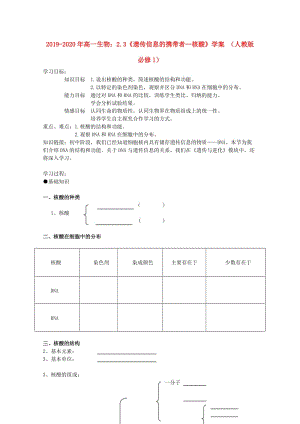 2019-2020年高一生物：2.3《遺傳信息的攜帶者—核酸》學(xué)案 （人教版必修1）.doc