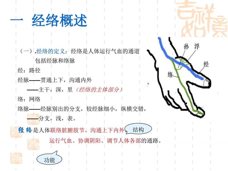 保健按摩师培训之经穴知识.ppt_第2页