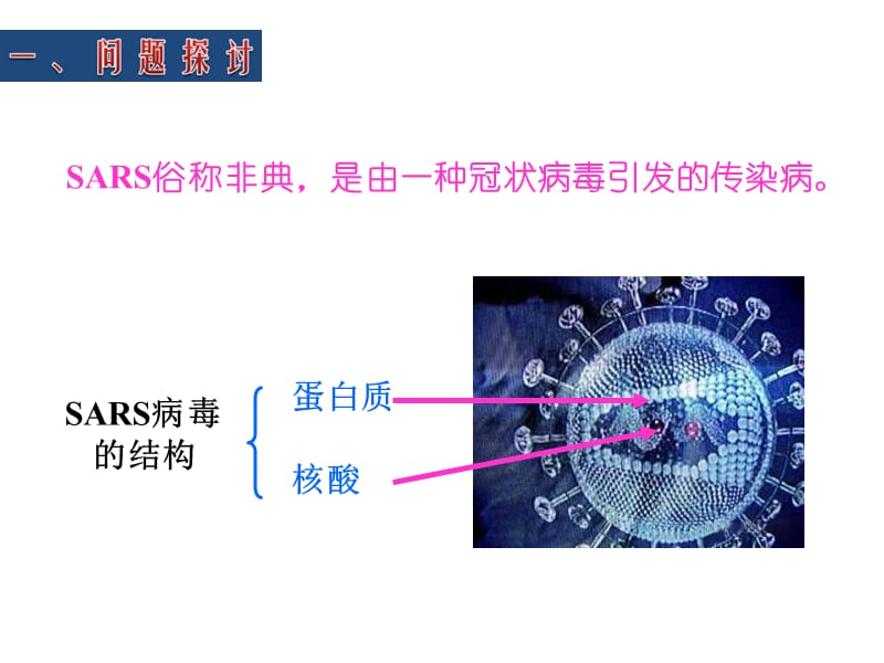 培训资料-从生物圈到细胞.ppt_第3页