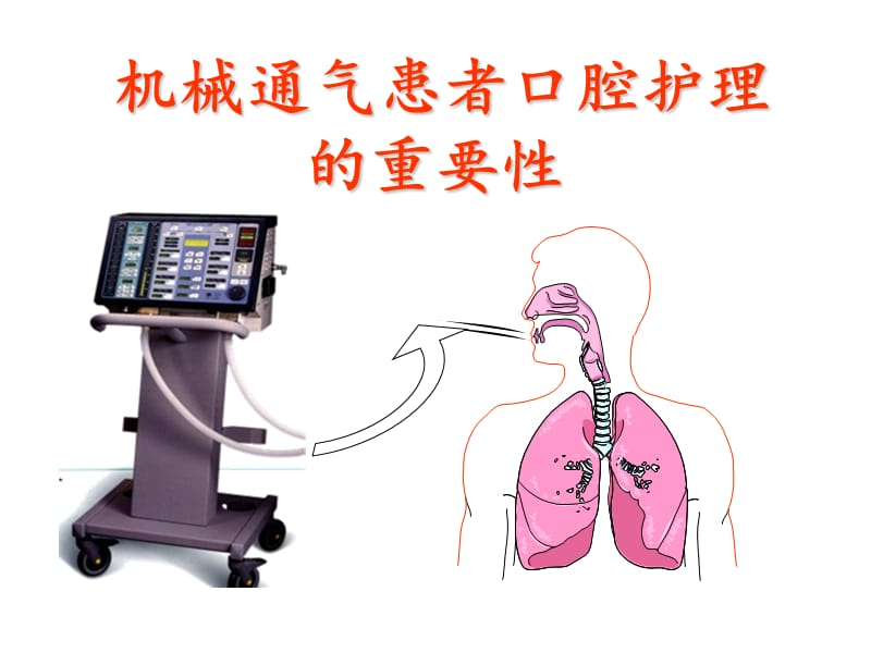 《专科口腔护理》ppt课件.ppt_第3页