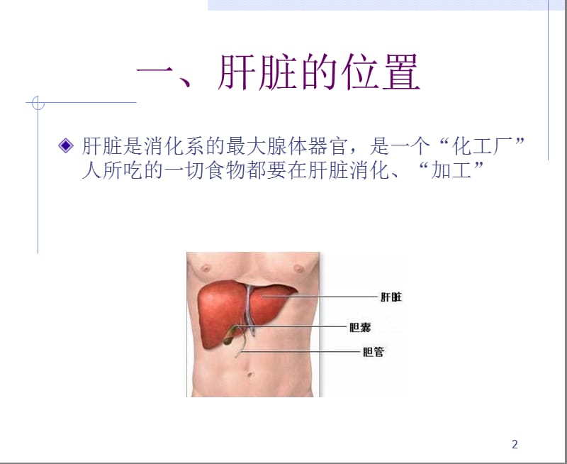 《乙肝知识讲座》PPT课件.ppt_第2页