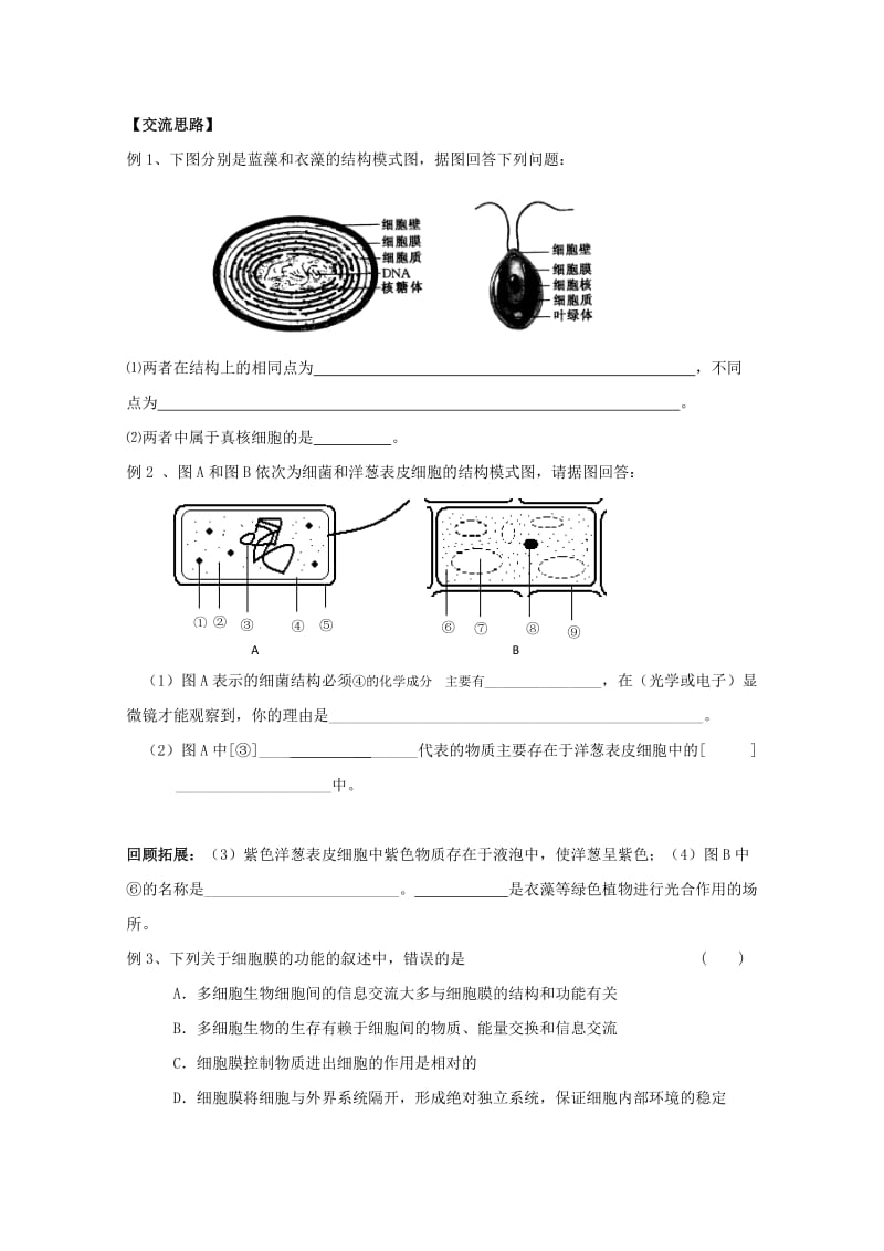 2019-2020年高一生物 3.2《细胞的类型和结构》学案1 苏教版必修1.doc_第3页