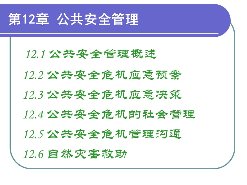 《公共事业管理新论》公共安全管理方案.ppt_第2页