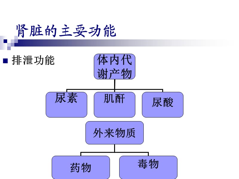 《肾功能检查44》PPT课件.ppt_第2页