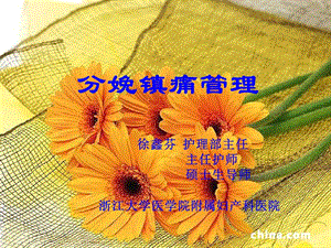 分娩鎮(zhèn)痛管理-婦幼保健護(hù)理管理培訓(xùn).ppt